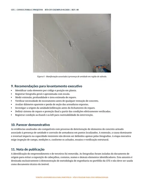 Página 6 de 6 do relatório civil de exemplo: última figura do registro, seguida das recomendações, do parecer e da nota de publicação.